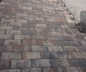 DSC 0644 e1645348884887