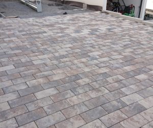 DSC 0647 e1645348903732