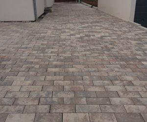 DSC 0662 e1645348913150