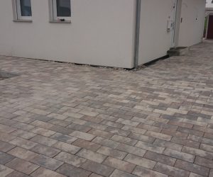 DSC 0663 e1645348918904