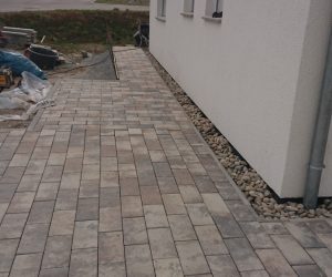 DSC 0664 e1645348926145